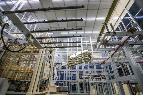 綿陽科技城觀察 技術服務賦能，新型顯示產業育新枝